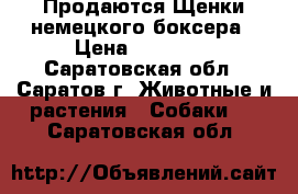 Продаются Щенки немецкого боксера › Цена ­ 25 000 - Саратовская обл., Саратов г. Животные и растения » Собаки   . Саратовская обл.